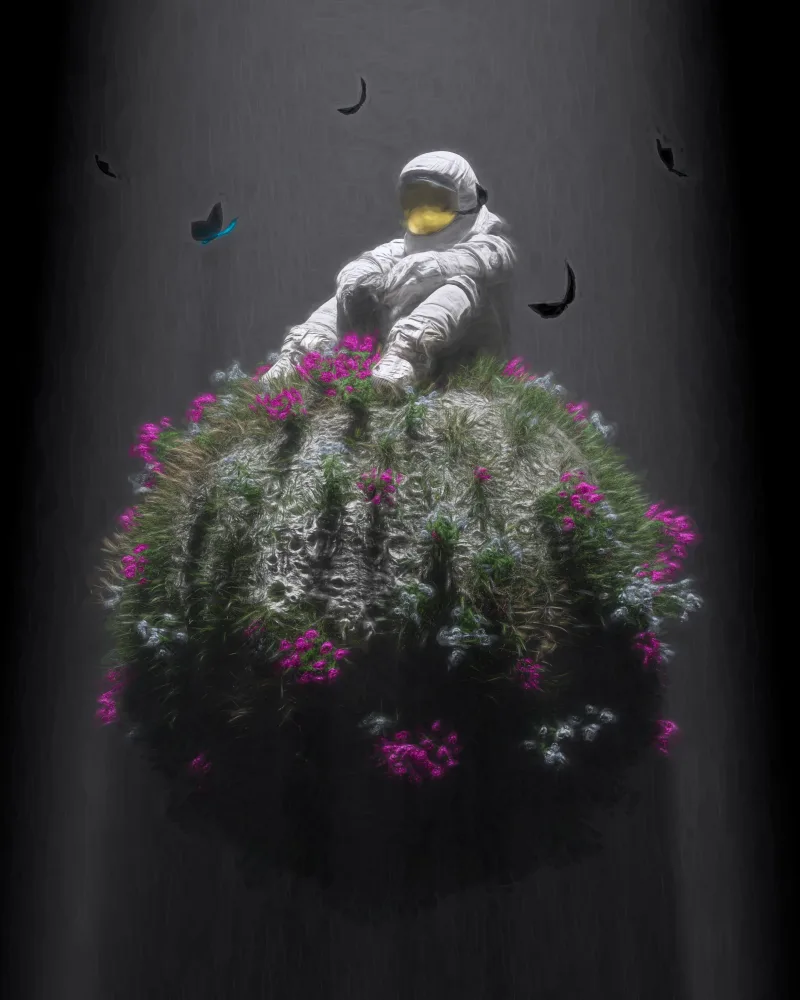 Moon Seat