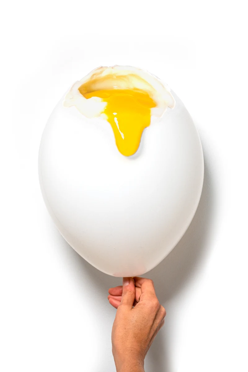 First Was The EGG