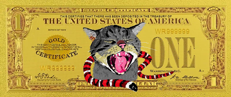 Gold Dollars and Cats