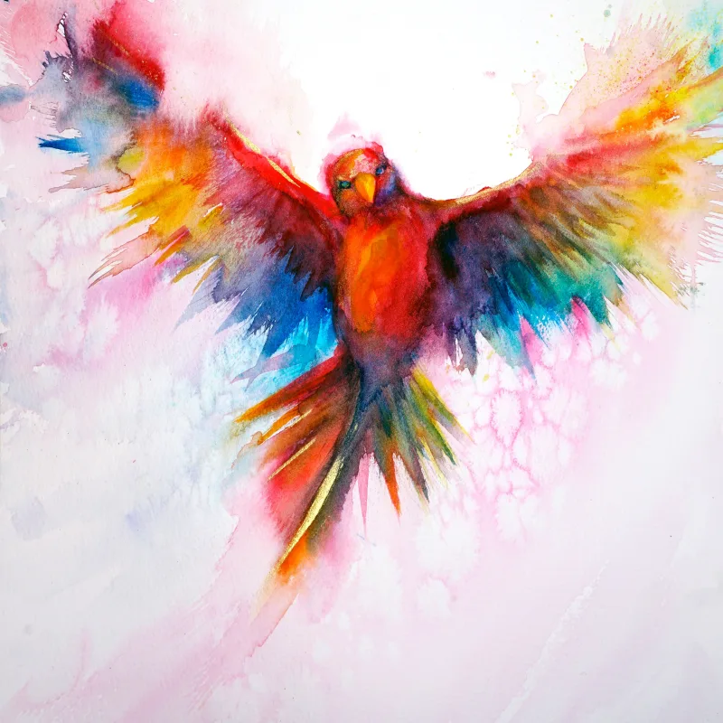 Red Parakeet #8/8