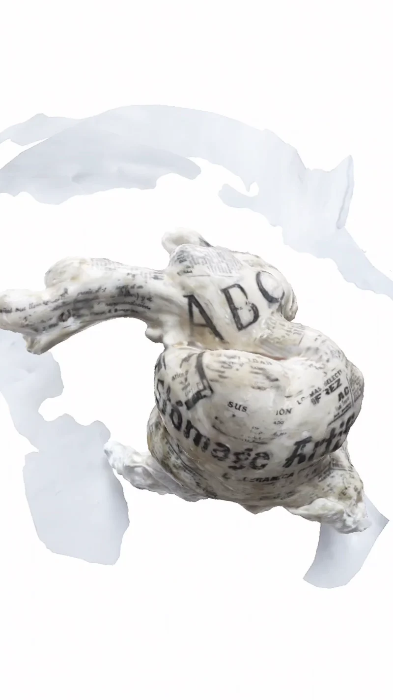 Estómago artificial by Paloma de la Cruz