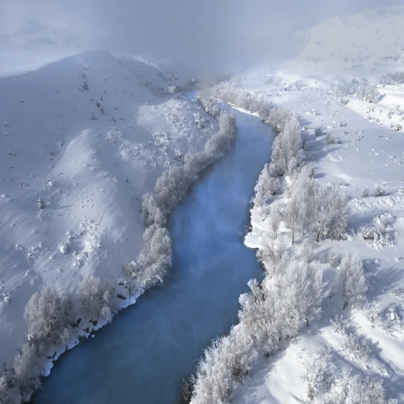 Winter Magic #13/19