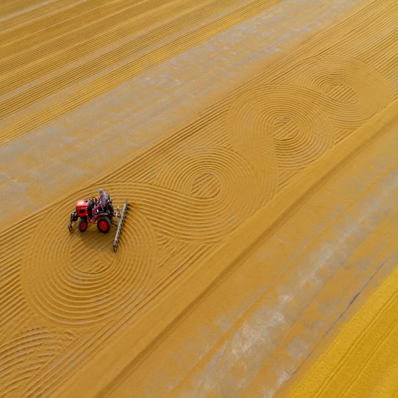 Yellow Horizontal