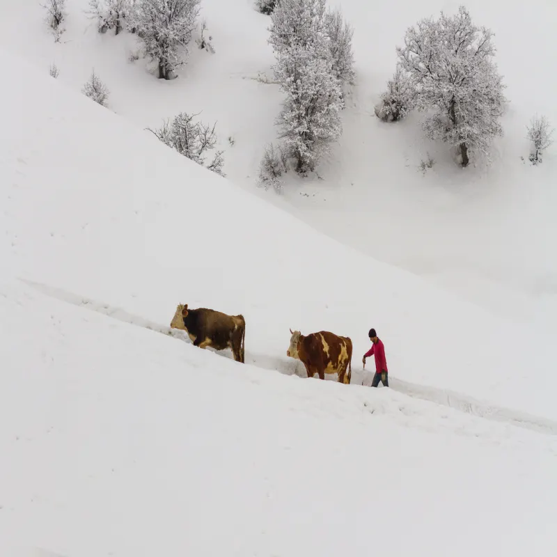 White Horizontal #6/10