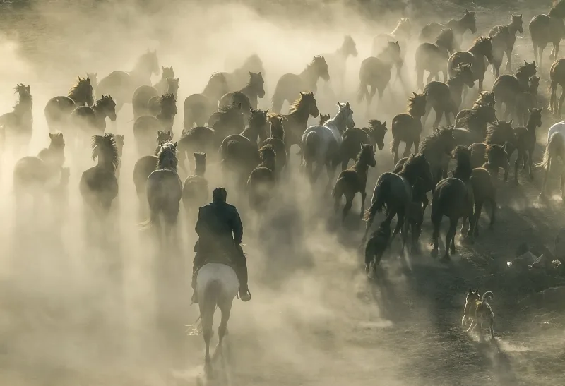 Dust Smoke