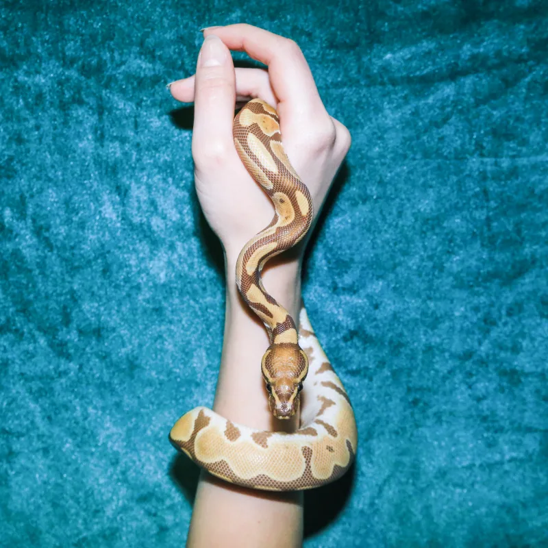 Leonardo Glauso. Photography I