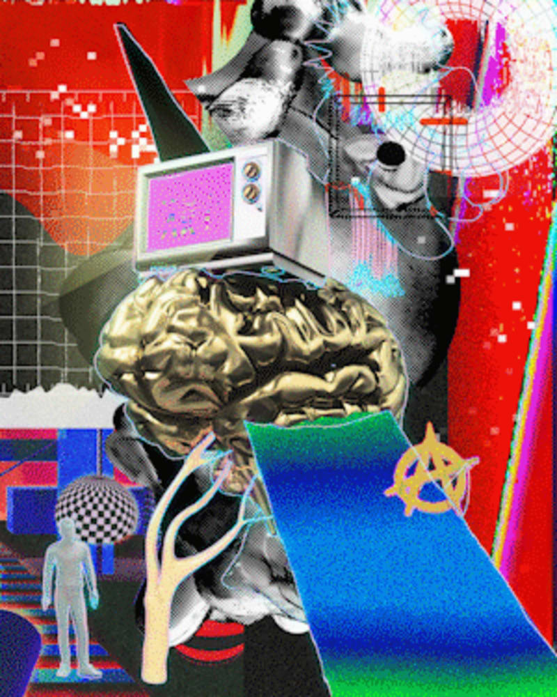 No Brain