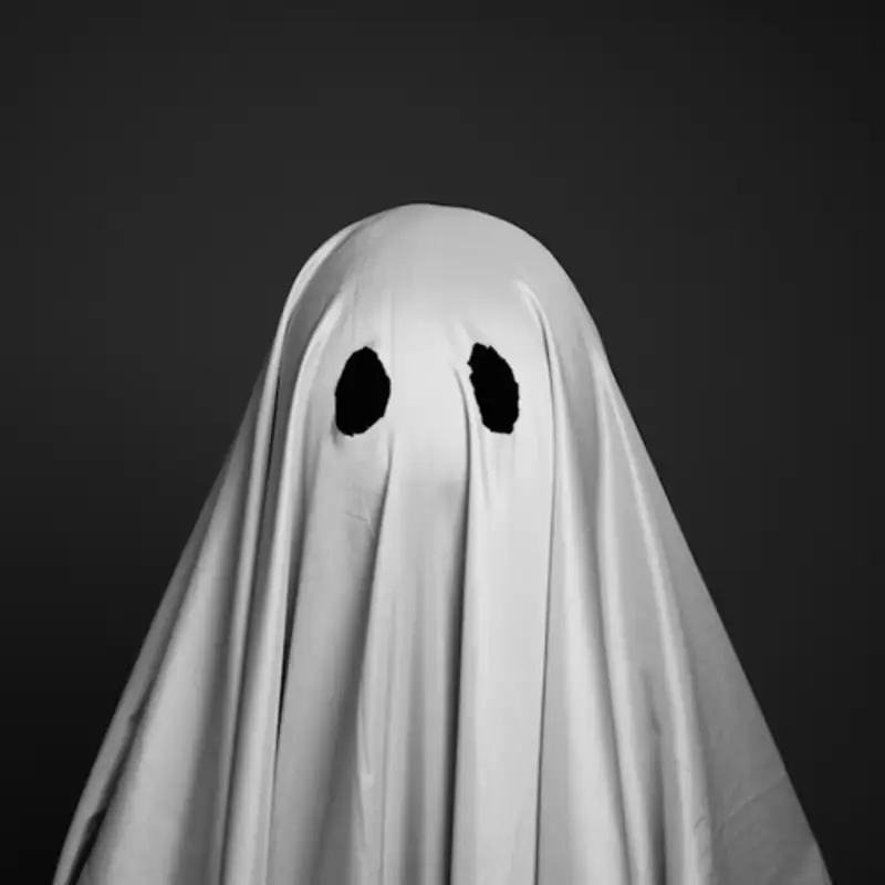 Asset Image