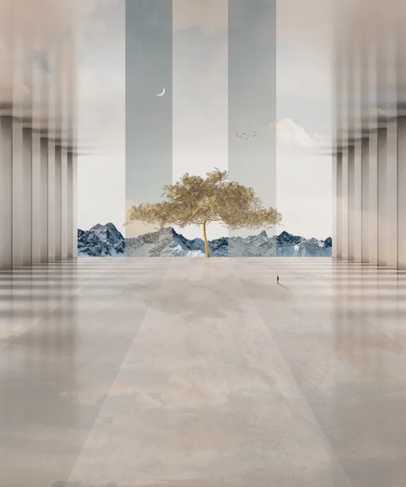 Beyond the veil #4/4