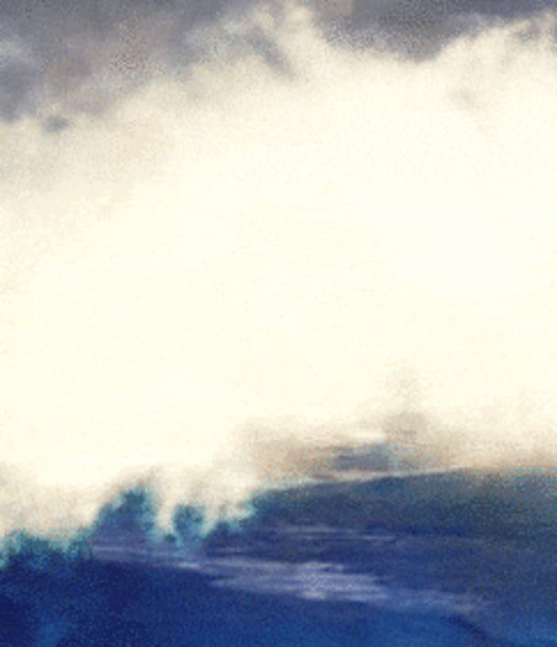 THE TOWERING TREES FALLING