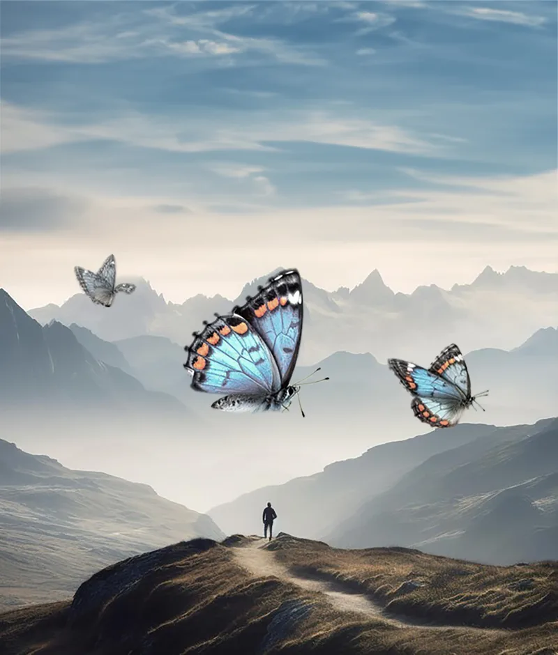 Transcendent Flutter