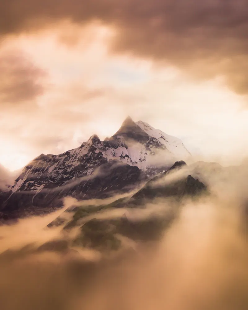 Asset Image