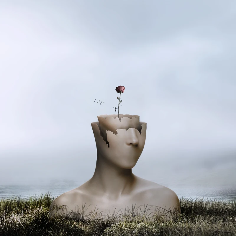 Fractures