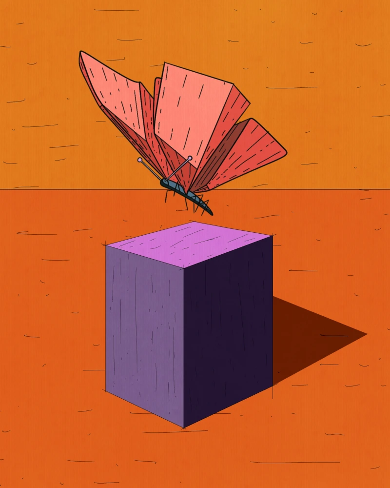 Asset Image
