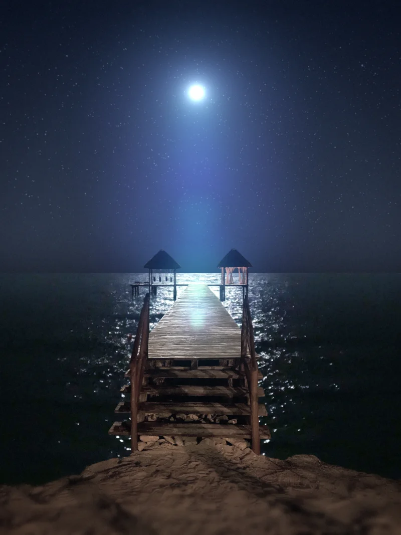 Bright Midnight