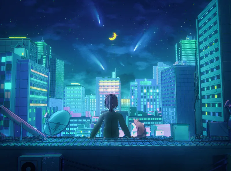 Moonlit Rooftop