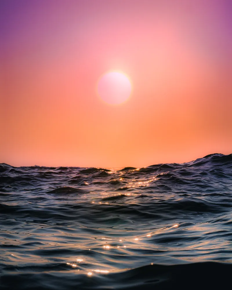 Solace