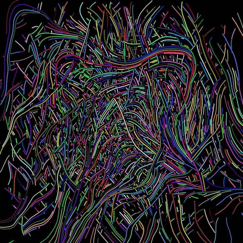 Asset Image