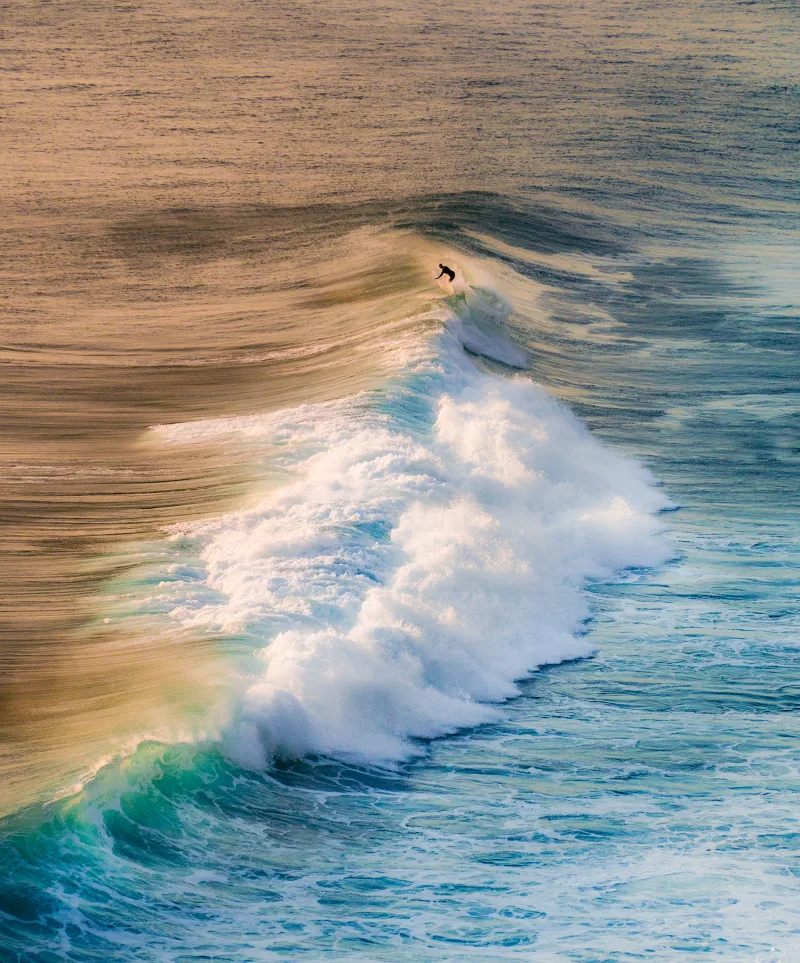 Ballet of The Waves