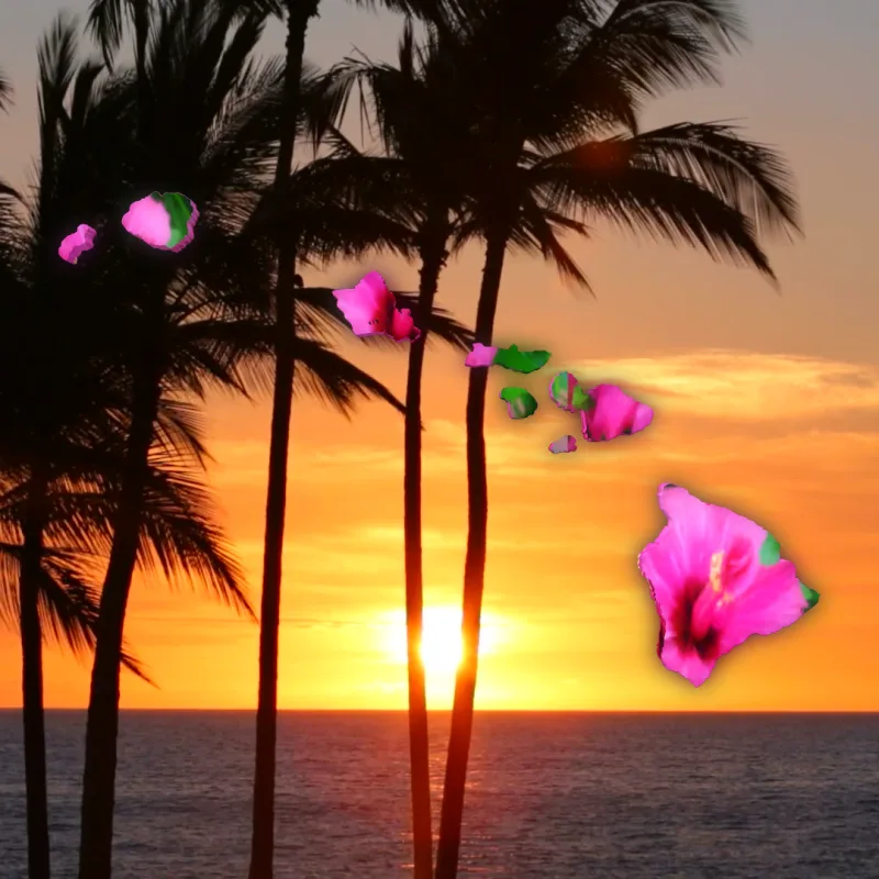 Stand With Hawaii | Sunset