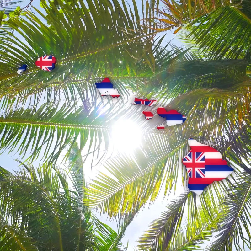 Stand With Hawaii | Palms