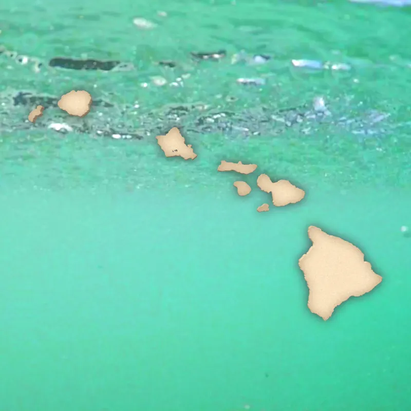 Stand With Hawaii | Ocean