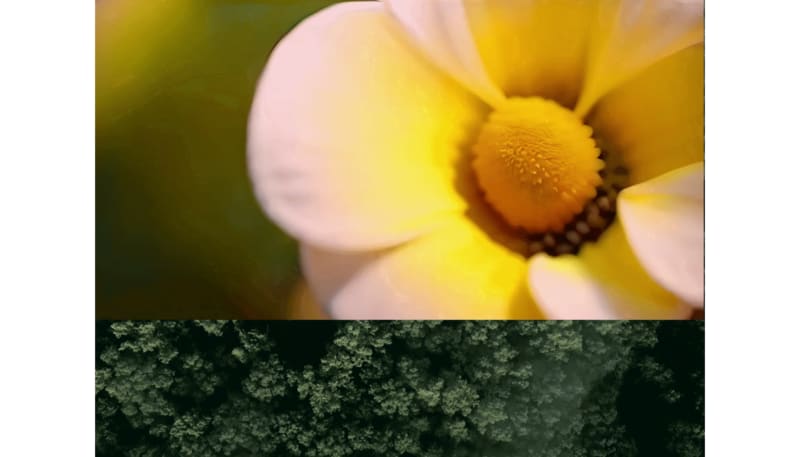 Say, Bee...