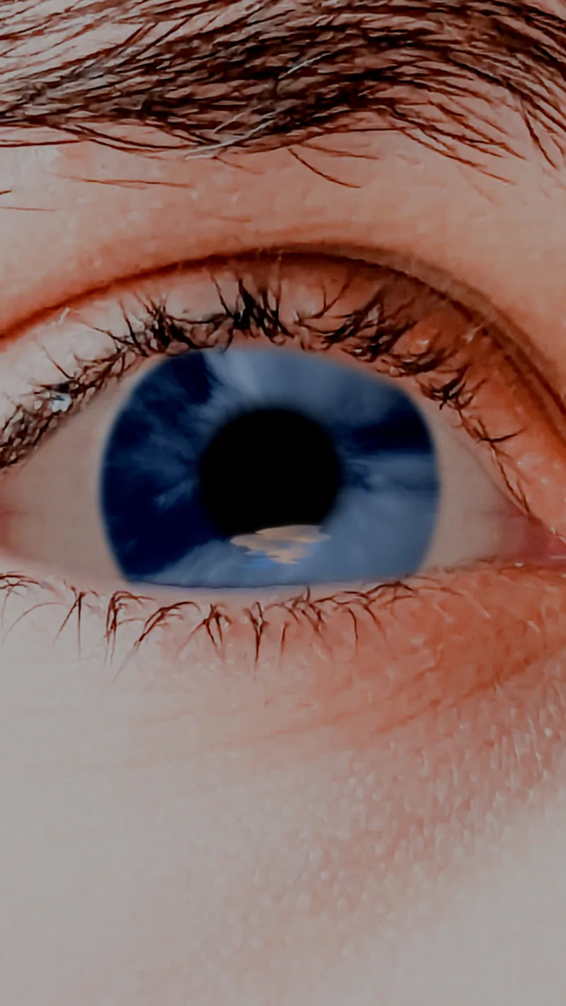 Perception #2/2