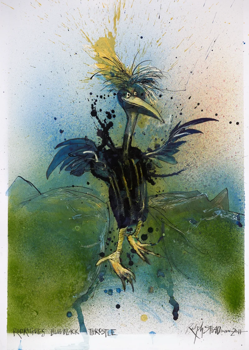 Rodrigues Blue-Black Throstle - Imagination #7/18