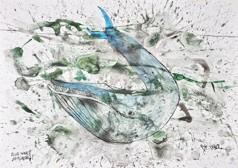 Blue Whale - Water