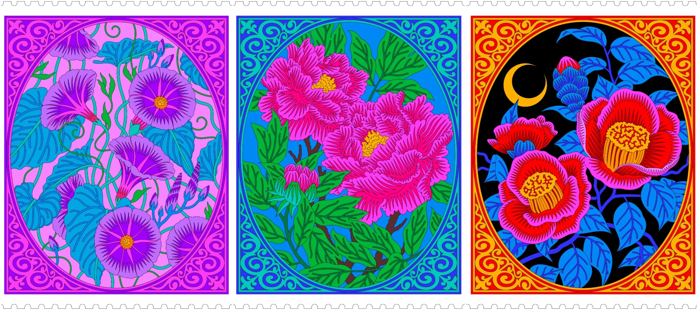 Collection banner