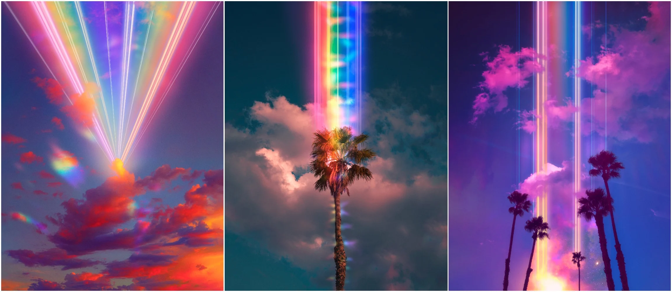 Collection banner