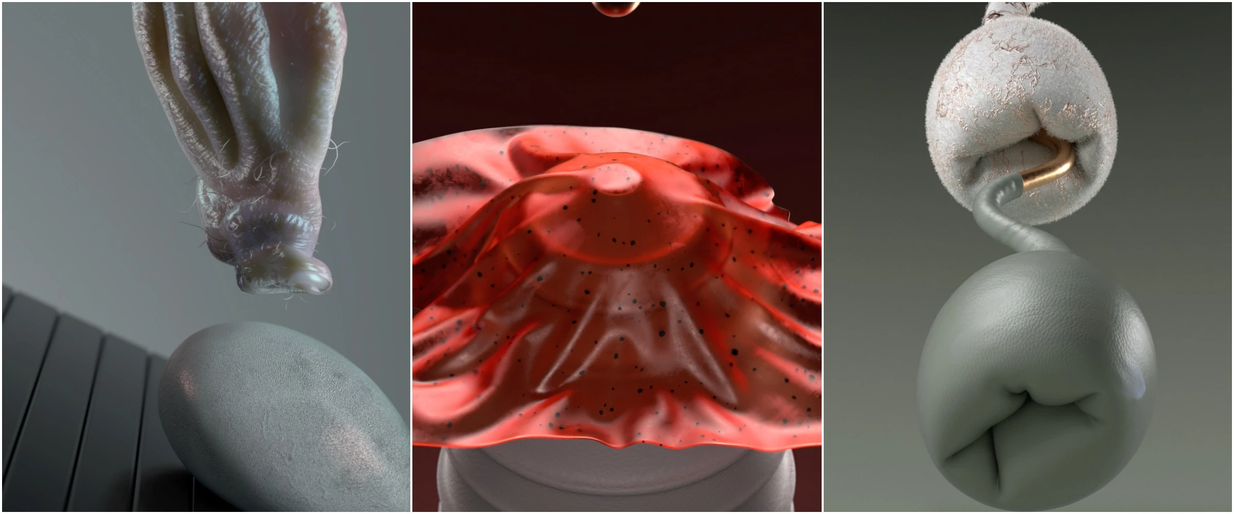 Collection banner