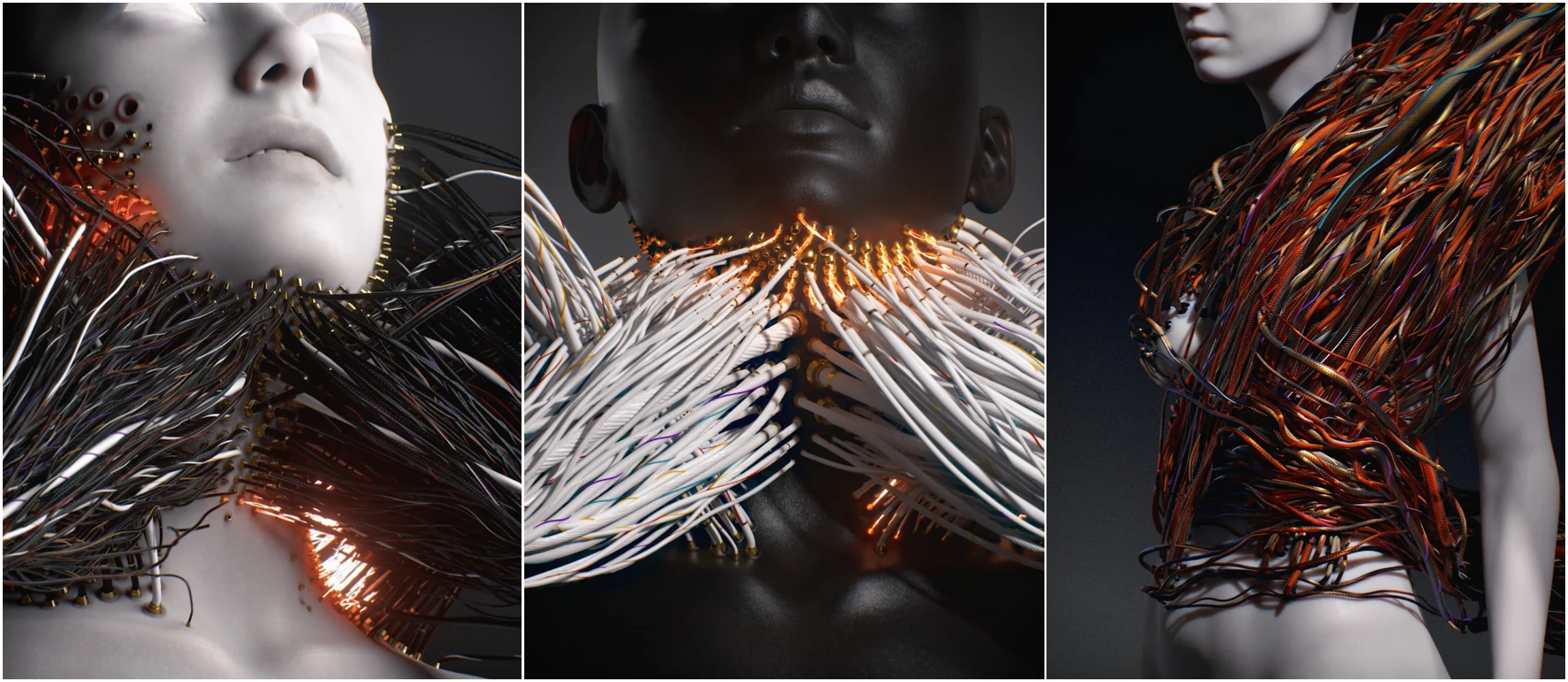 Collection banner