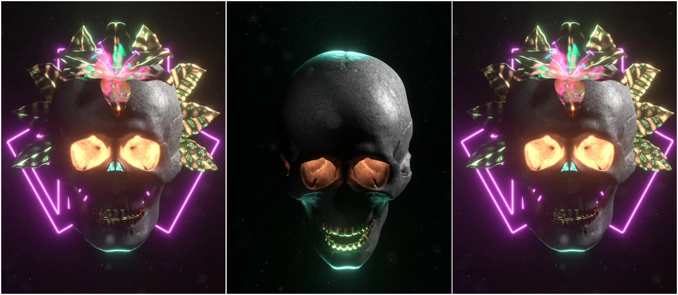 Collection banner