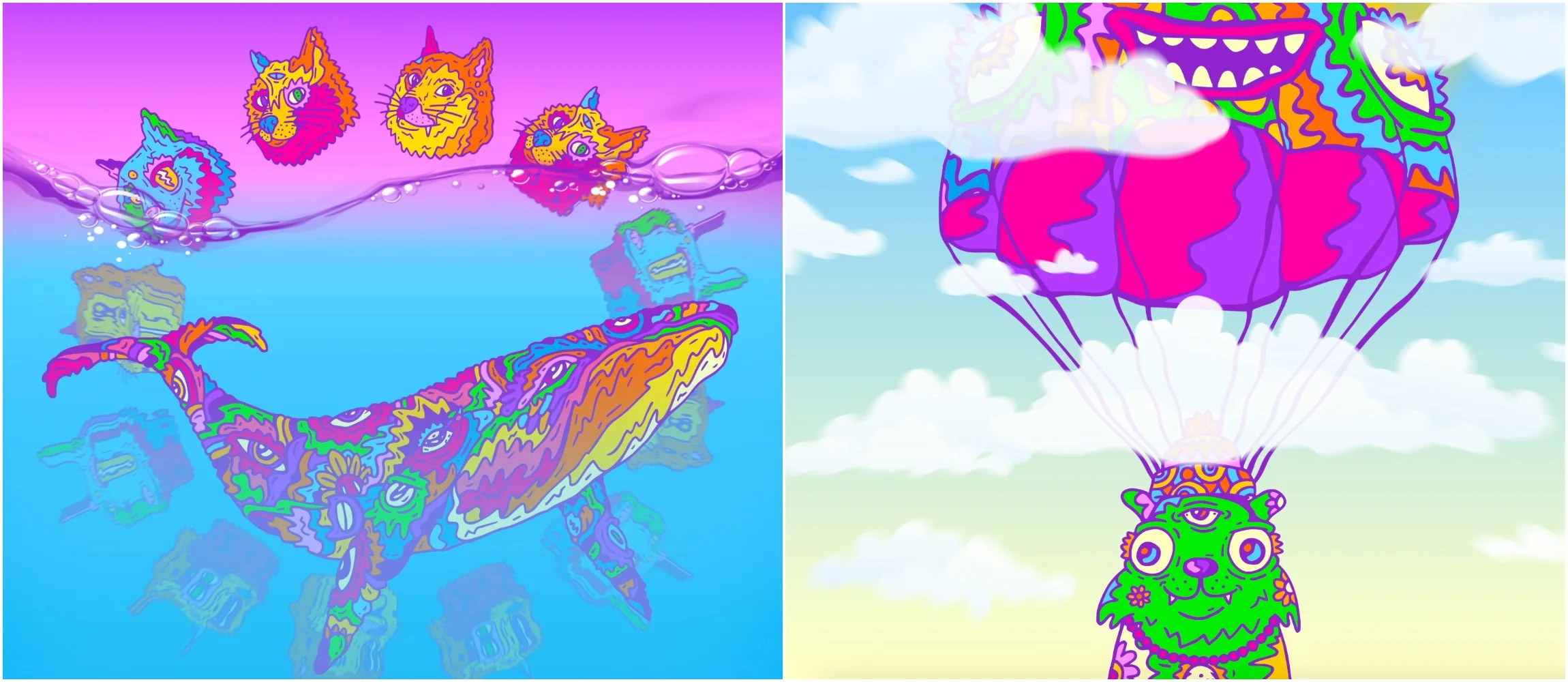 Collection banner