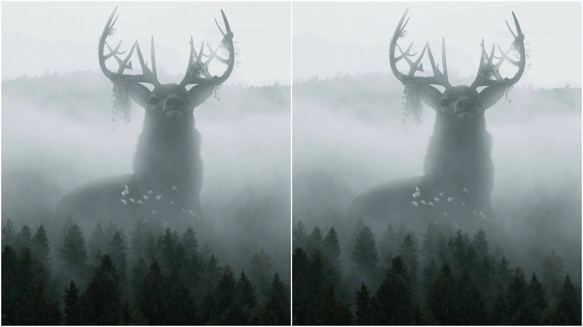 Collection banner