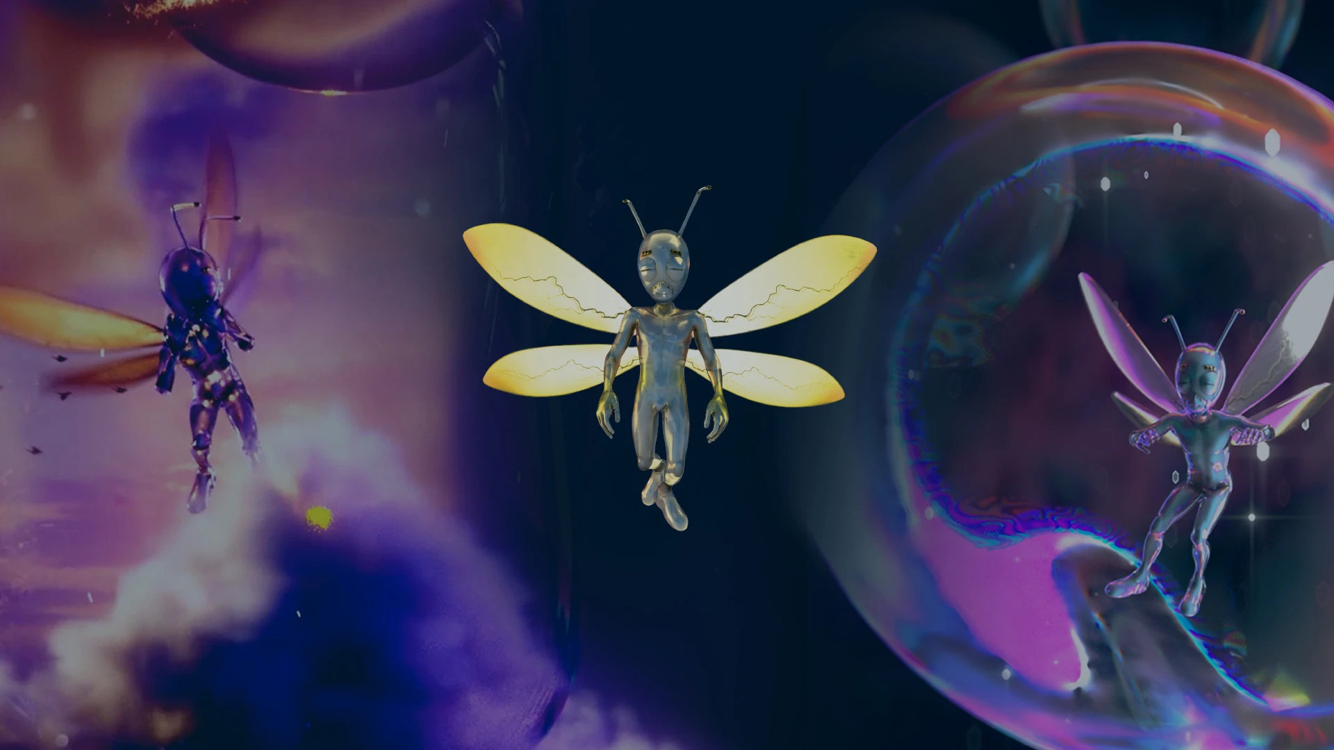Collection banner