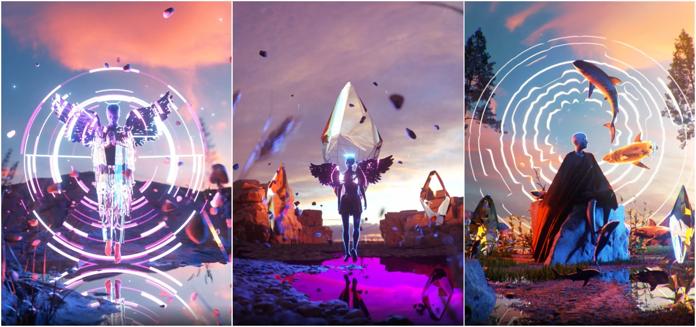 Collection banner