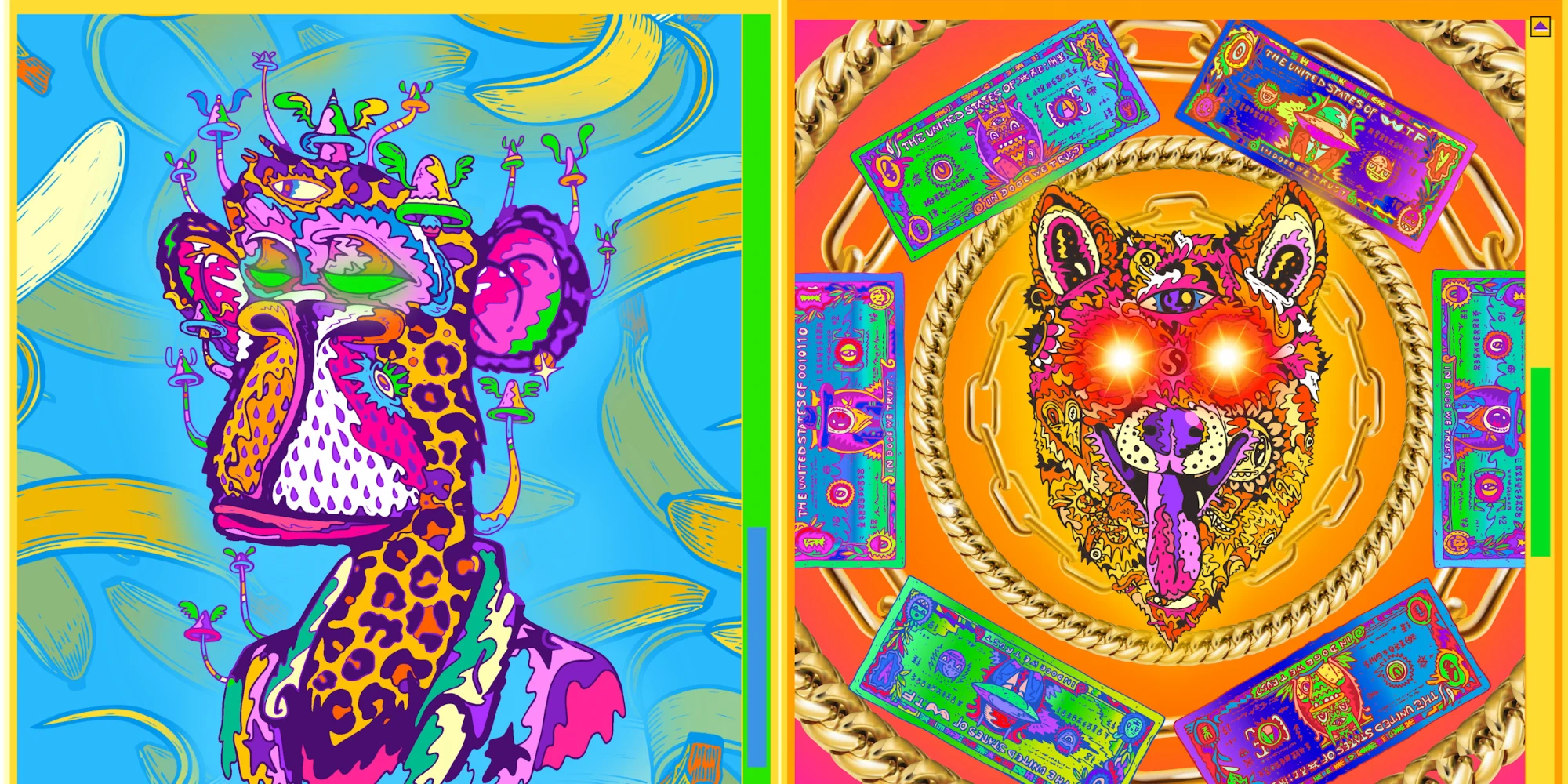 Collection banner