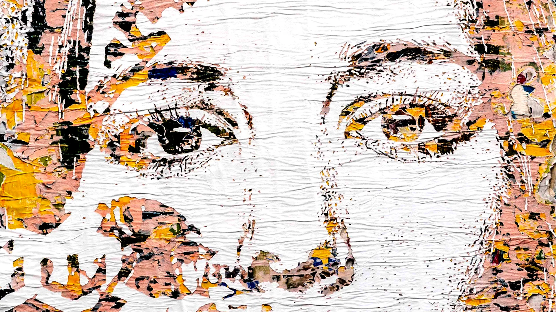 Collection banner