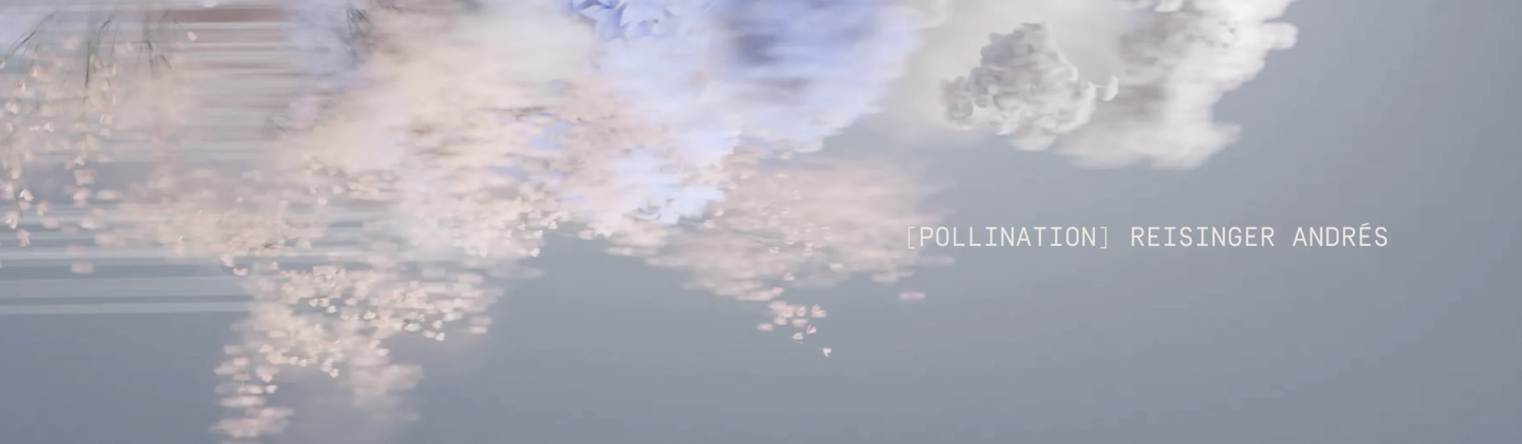 Collection banner