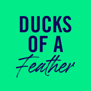 Flying Formations banner