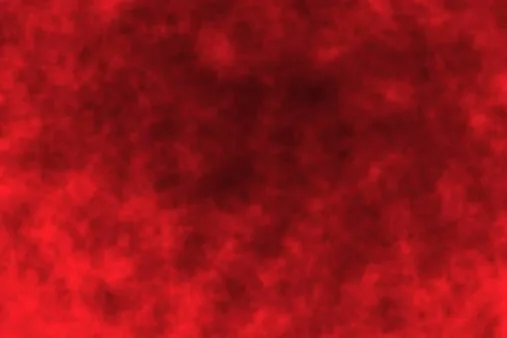 The End Has Begun banner