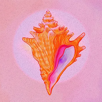 Crypto Coven: The Siren's Shell banner