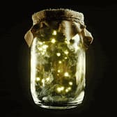 Fungible Fungi Mint Pass banner