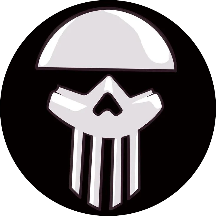 The Street Punisher banner