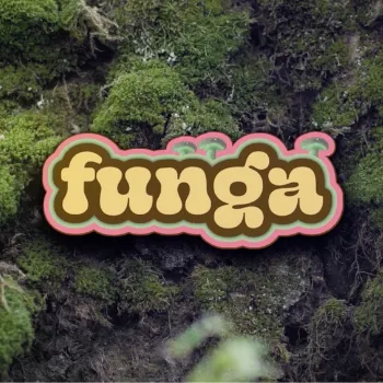 Funga & Friends banner