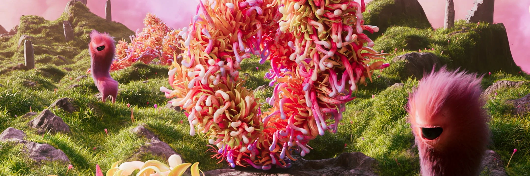 Collection banner