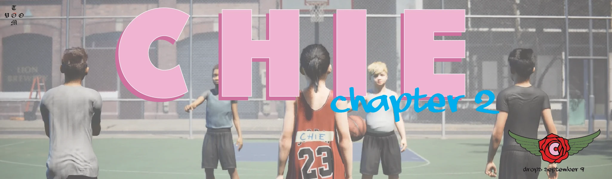 Collection banner